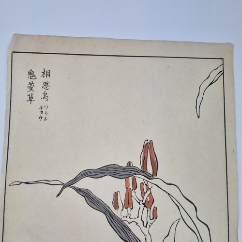 Bairei Kono Vintage Japanese Woodblock Print Bird On A Flowering Branch - Picture 7 of 19