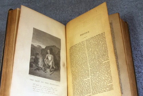 Leather-Stocking Tales - Cooper - Routledge, London, Early Printing, Illustrated - Picture 7 of 9