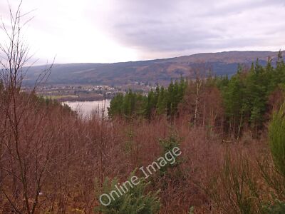 Photo 12x8 Plantation beside the B862 Fort Augustus Soon the view down to  c2011