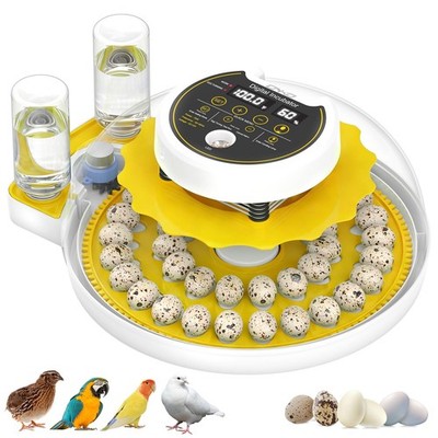 Quail Egg Incubator for Hatching Eggs with Automatic Egg Turning and Humidity...