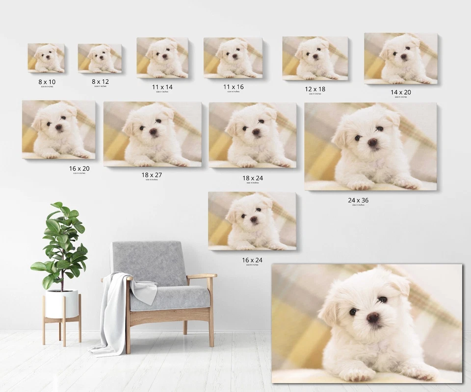 Impresión en lienzo personalizada HD imprime tu propia foto sobre lienzo enmarcada 1,25" de grosor Foto 3 de 4