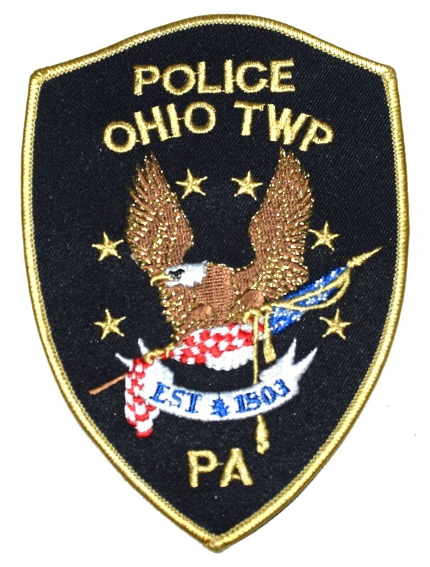 OHIO TOWNSHIP TWP PENNSYLVANIA PA Sheriff Police Patch FLYING EAGLE ...