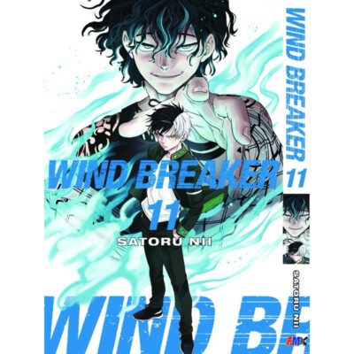 WINDBREAKER 漫画 全20巻セット　ファンブック s-l400.jpg