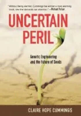 Claire Hope Cummings~UNCERTAIN PERIL~SIGNED 1ST(2)/DJ~NICE COPY
