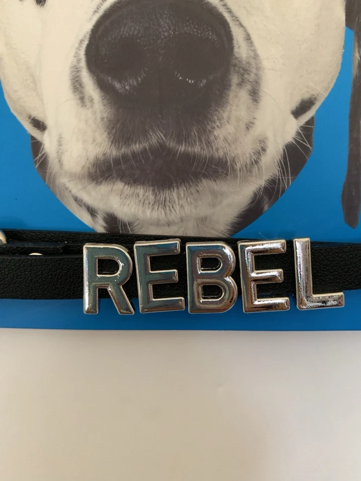 Dog Jewelry Name Collar. (Size Medium ) - Image 2 of 4