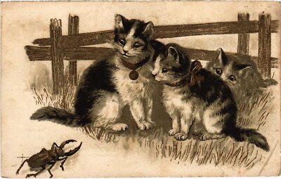 CPA AK CATS (1340947)
