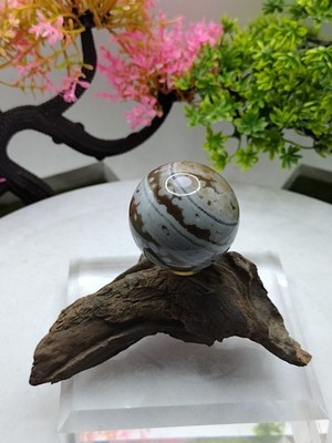 Exquisite 8th Vein Ocean Jasper Display Sphere With Wooden Stand 60mm