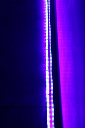 SMD2835 LED Strip Light 440nm-450nm Waterproof IP65 for Aquarium Light Fish Tank - Picture 6 of 9