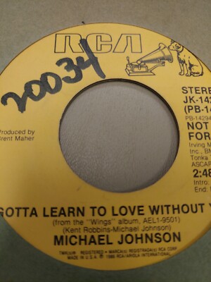 MICHAEL JOHNSON GOTTA LEARN TO LOVE WITHOUT YOU 7" VINYL 45RPM RARE OOP ...