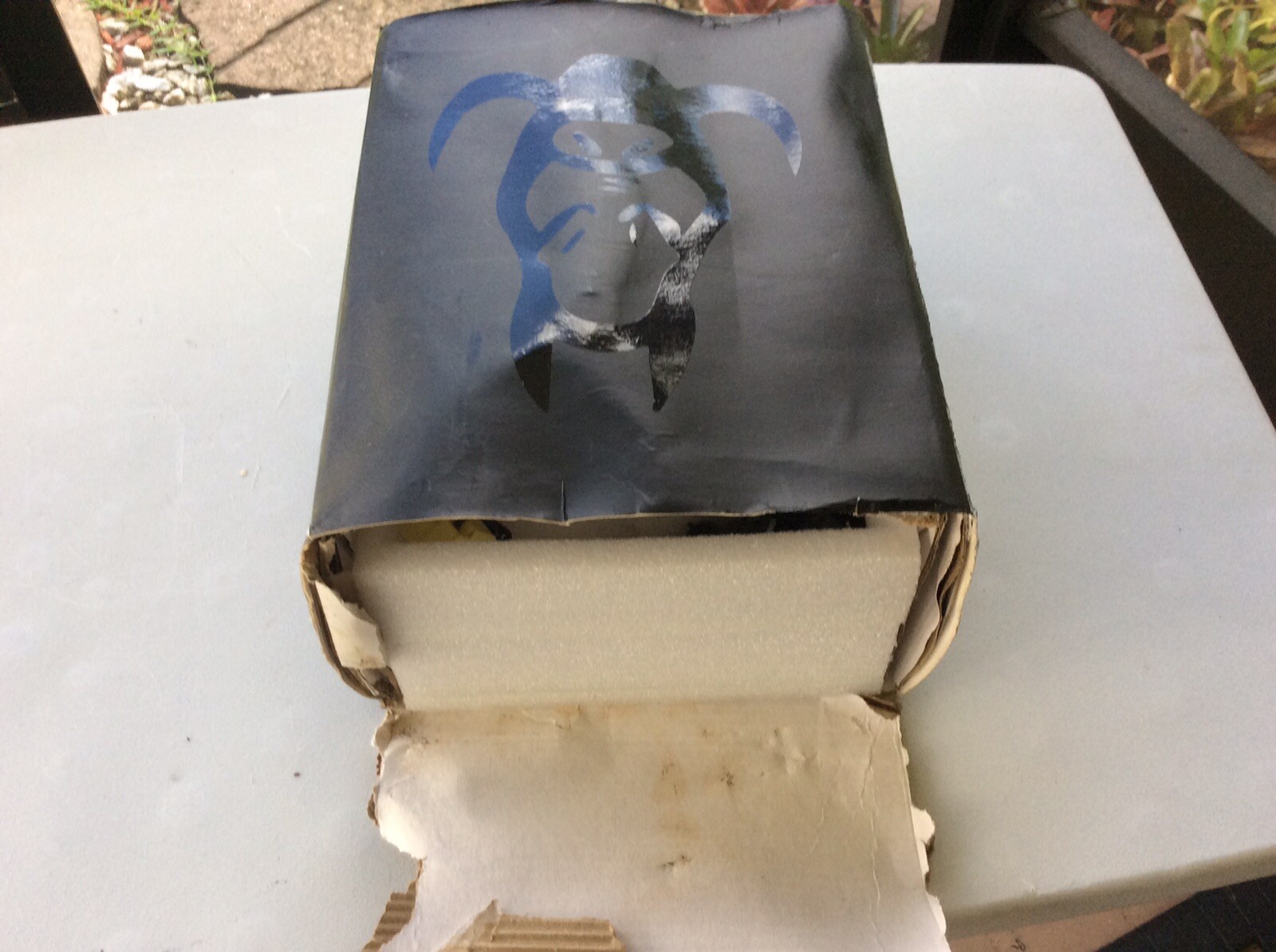 Picture 4 of 11