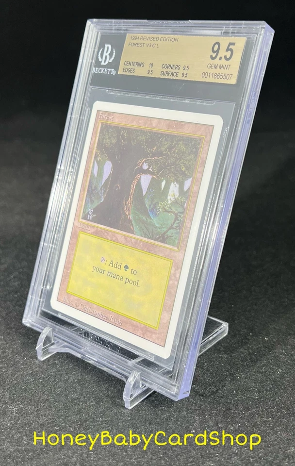 MTG 3rd Edition Revised 1994 Forest (C) BGS 9.5Q+ (TRUE QUAD+) GEM MINT 93/94 - Image 3 of 4