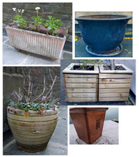 Lot of Terracotta Plant Pots and Wooden Planters
