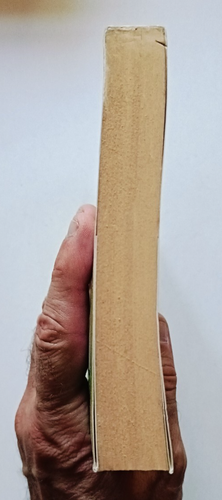 IL GIARDINO DEI GIOCHI DIMENTICATI, Reali - Barbiero, 1a ed Salani 2002. - Imagen 9 de 9