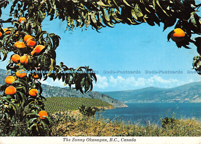 D070802 v. Chr. Kanada. The Sunny Okanagan. Monahan Agency