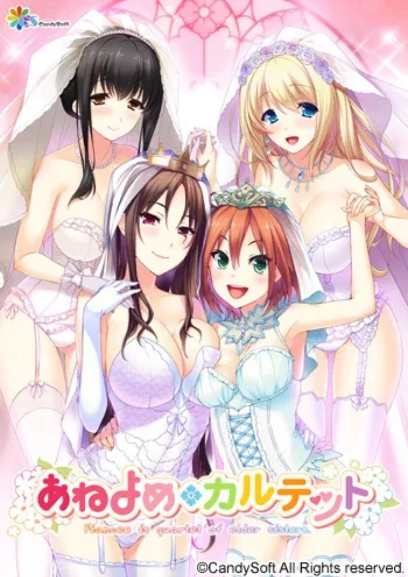 PC Windows Game ANE YOME QUARTET Japan Bishoujo Eroge Galge CandySoft JP FS  New | eBay