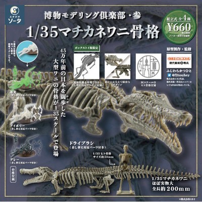 Natural History Modeling Club 3 Toyotamaphimeia Skeleton 1/35 SO-TA Mini-Figure
