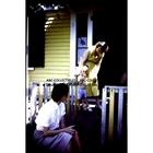 VINTAGE 1950 KODACHROME TRANSPARENCY SLIDE 2 Woman On Porch Cohasset MA. 1950