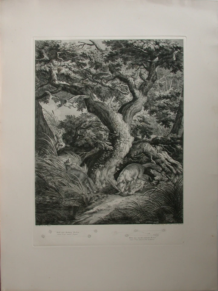 3 Kupferstiche von Johann Elias Ridinger (1698-1767) im repräsentativen Format - Bild 2 von 4