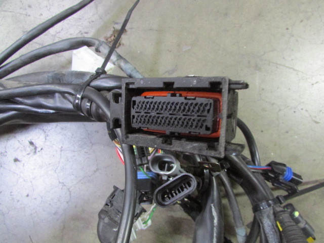 Ferrari 360, Coupe, RH, Right Engine Injection Wire Harness, Used, P/N 181112