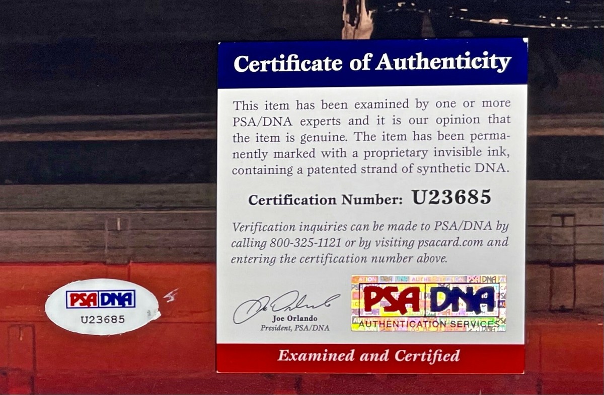 AMANDA SEYFRIED Autographed SIGNED 11x14 PHOTO PSA/DNA CERTIFIED