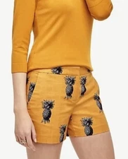 Ann Taylor  Ladies Yellow Pineapple Devin City Shorts Size 2 NEW