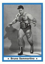 BRUNO SAMMARTINO 1991 IMAGINE WRESTLING LEGENDS #24