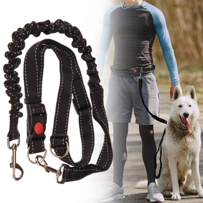 Hands Free Dog Lead Waist Belt Bungee Dog Lead for Running