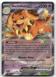 Dachsbun ex 067/142 Stellar Crown