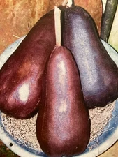 PATTERN Primitive Eggplant Bowl Fillers Doll NEW Sassafras Hill Primitives