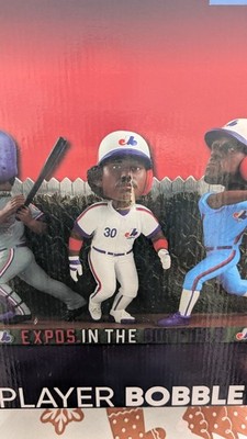 Expos In The Outfield Vladimir Guerrero Tim Raines Andre Dawson FOCO Bobblehead