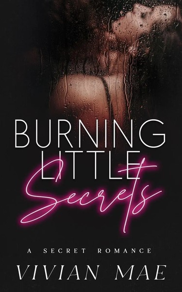 Burning Little Secrets Vivian Mae Taschenbuch Kartoniert / Broschiert Englisch-image
