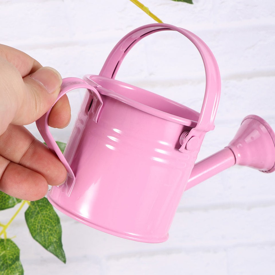 2 Pcs Pots for Outdoor Plants Kettle Large Tin Watering Can Tree Baby