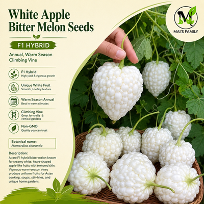 White Apple Bitter Melon Seeds (Momordica charantia) | Heart