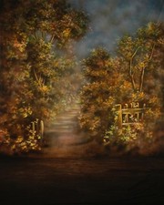 Pro 10'x20' Muslin 100 Airbrush Painted Photo Backdrop Background 49-409