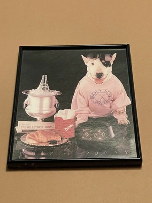 Yuppie Puppy Spuds MacKenzie Dog 1986 Bayside Art Photo By Jim Schlick 8x10 B182