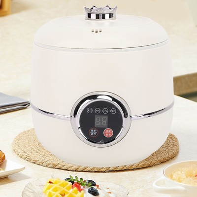 Small Rice Grain Cooker Multifunctional 1.6L Capacity Electric Nonstick Rice