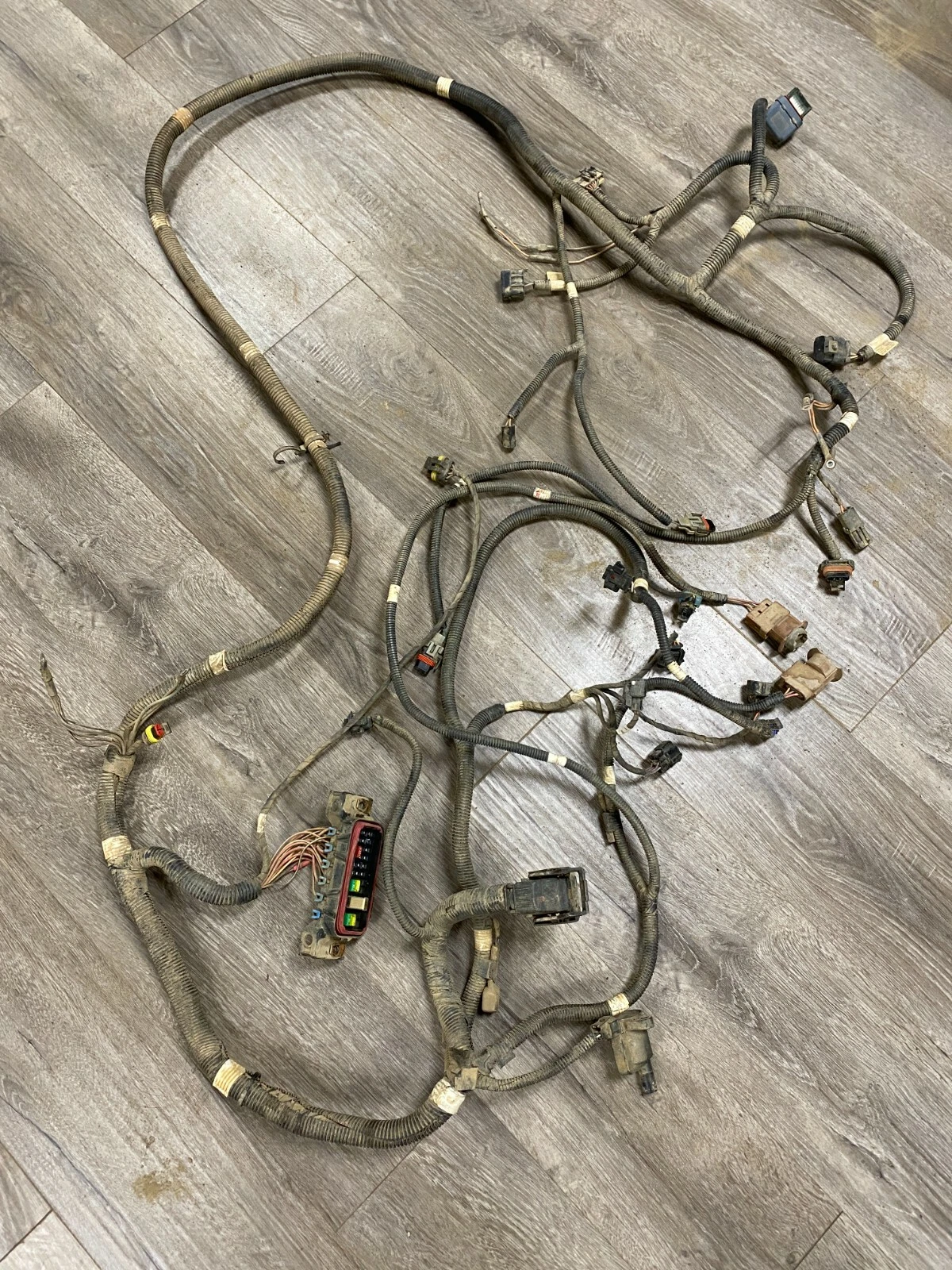HARNESS, CHASSIS