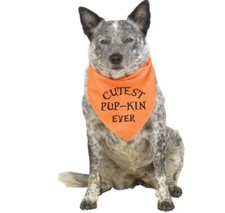 Halloween Pet Bandana - Happy Howl-oween - Small/Medium - Accessory - 2 Colors