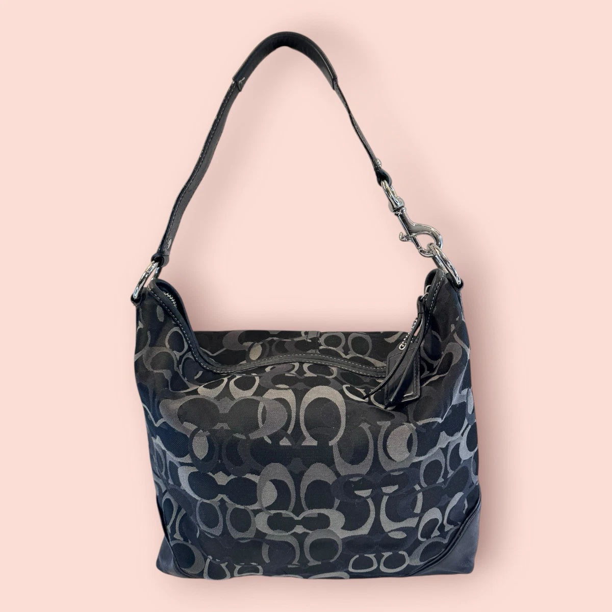 Coach Chelsea Hobo Handbags & Bags Canvas Exterior for Women for