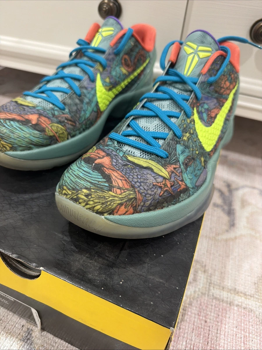 Las mejores ofertas en Nike Zoom Kobe 6 Prelude | eBay