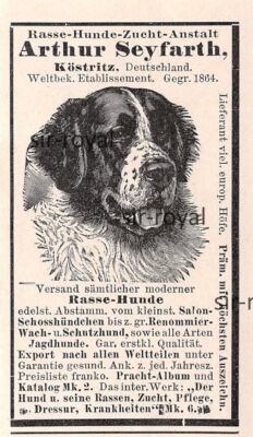 Rasse Hunde Anstalt - Arthur Seyfarth Köstritz - 1904 - Histor. Werbung ...