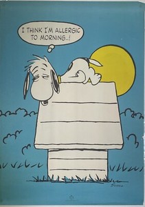 Vintage Snoopy Poster | eBay UK