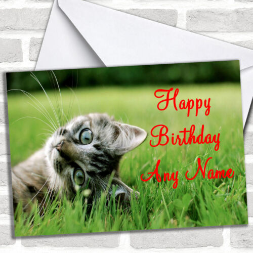 Verspieltes Kätzchen personalisierte Geburtstagskarte - Bild 1 von 2