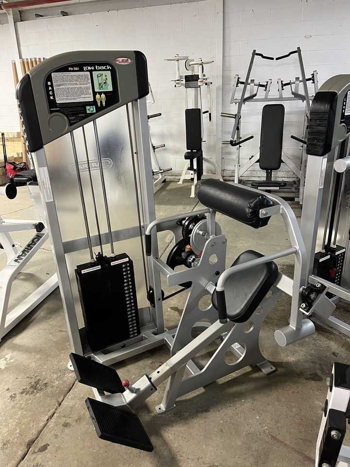 Flex Fitness Selectorized Low Back Machine Commercial Gym Equipment ...