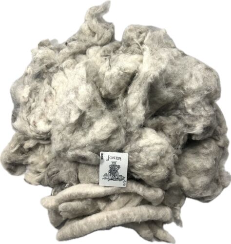 1 Lb 3 Oz Russian Romanov Washed Picked Silver Wool Spinning Fiber (ZW86)
