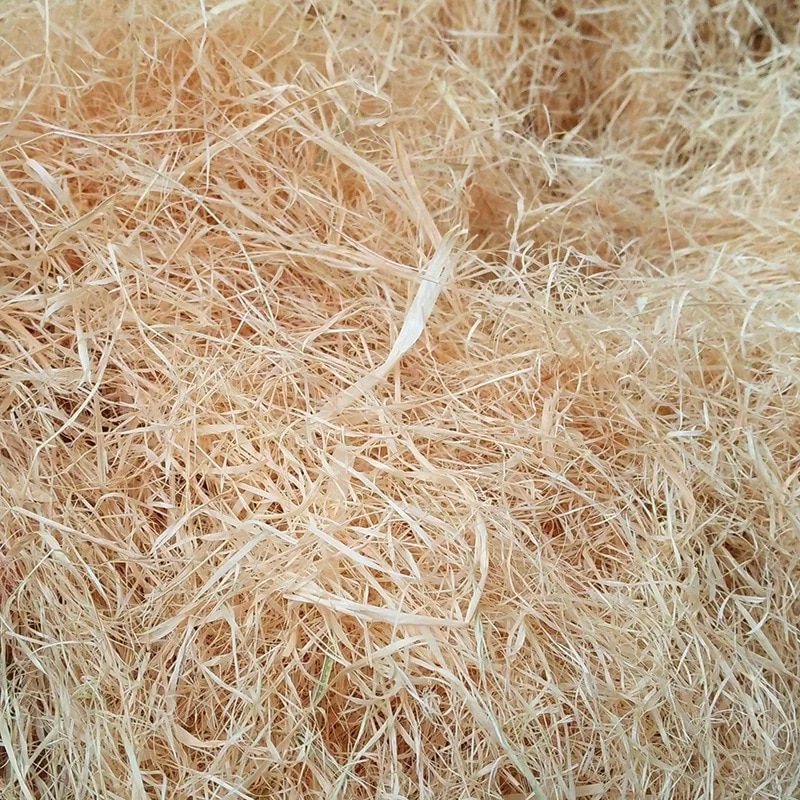 Natural raffia grass sale