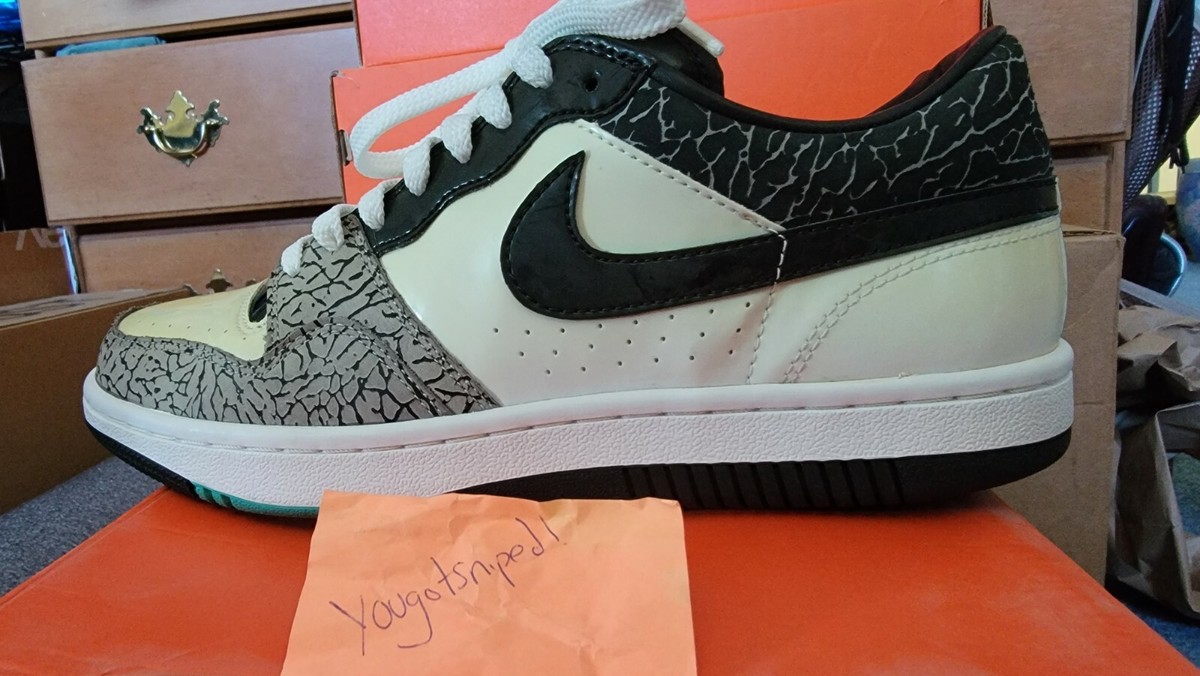 Nike Court FORCE Low JAPAN Atmos Exclusive 9.5 Rare | eBay