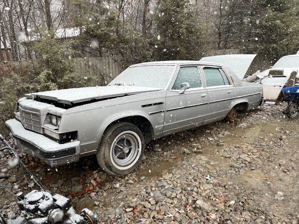 Buick Electra 1977 limpiaparabrisas limpiador líquido juego de boquillas chorro Foto 4 de 4