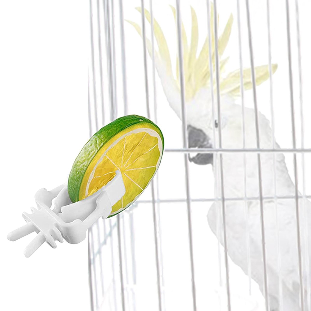 Futterclip Für Vogelkäfig – Hält Obst & Gemüse Fest, Einfach Zu Reinigen