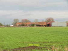 Photo 6x4 Farmland at Costa Manor Farm Ryton Flat crop field at Costa Man c2021